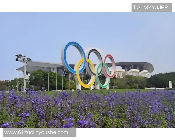 广州排球队耐力问题引发热议球迷与专家各执己见探讨真相